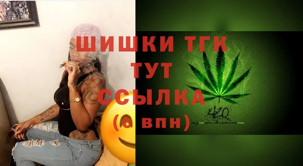 spice Сосновка