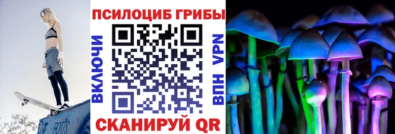 Псилоцибиновые грибы ЛСД  купить наркоту  Каменск-Шахтинский 
